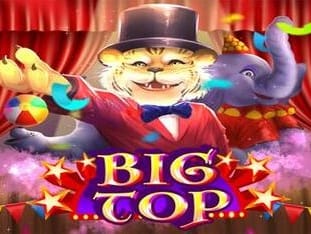 Big Top game icon